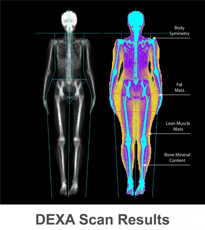 metabolic transformation results