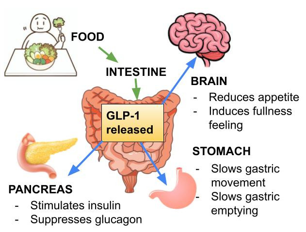 glp 1